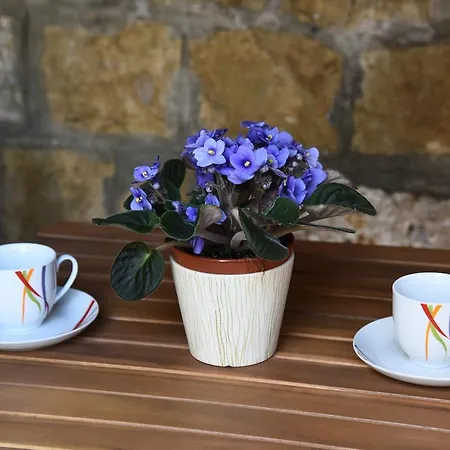 アパート Downtown Korina *